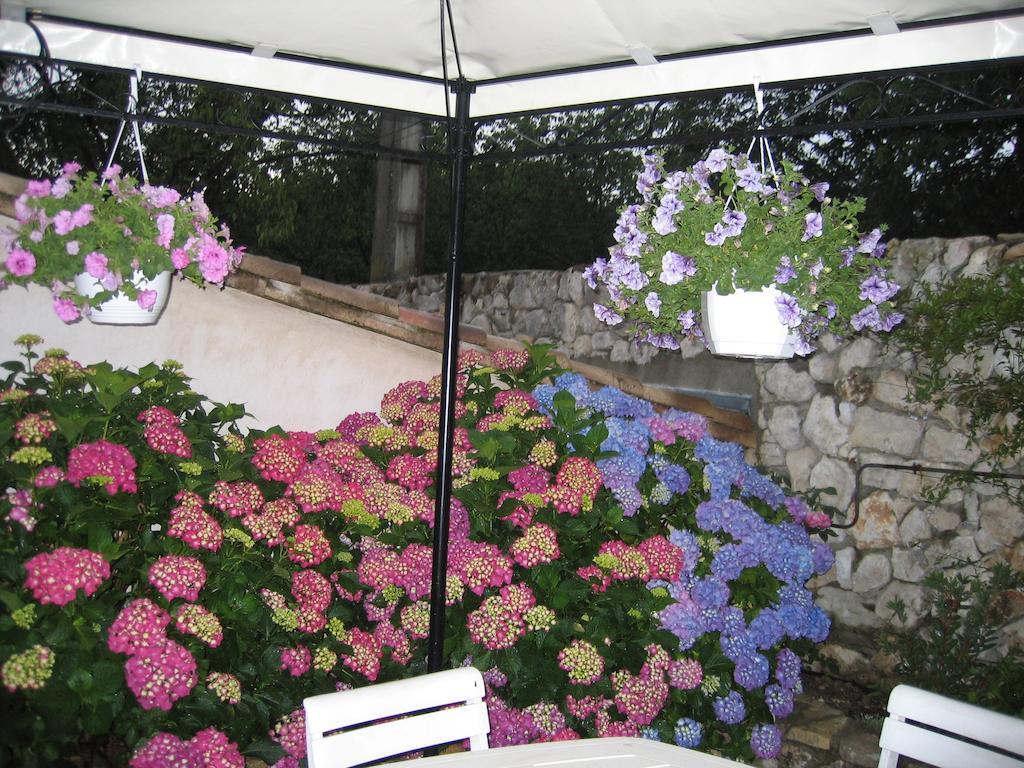 Bed and Breakfast La Frandomiere Saint-Martin-de-Londres Exterior foto